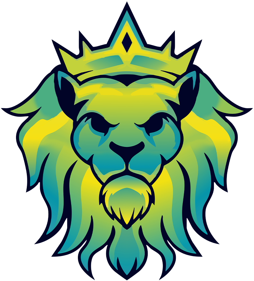 Batuhan Karakaş SsSNetwork Minecraft Sunucu Projesi